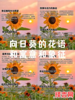 花朵象征含义解读 花朵的意义有哪些-第1张图片 花朵象征含义解读 花朵的意义有哪些-第1张图片