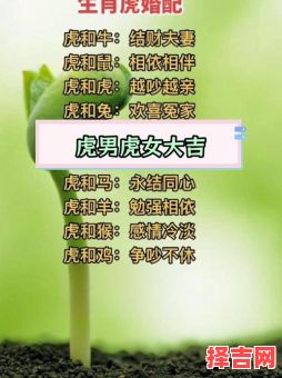 属虎女性最佳婚配属相-第1张图片 属虎女性最佳婚配属相-第1张图片