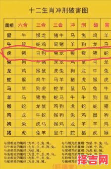 夜行八百属何肖-第1张图片