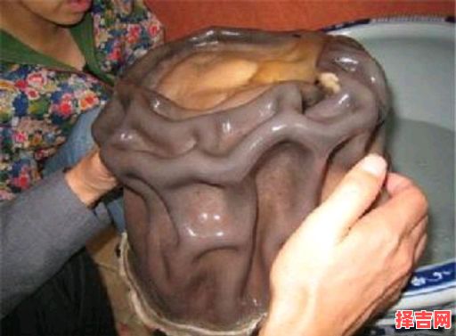 太岁头上动土的含义-第1张图片