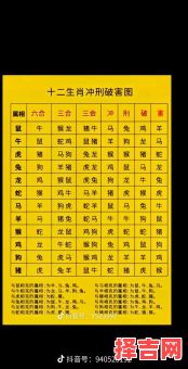 属鼠与属马相克吗，属马的人和属鼠的人-第1张图片