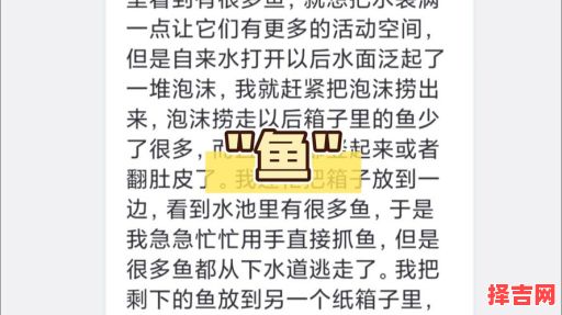 梦见很多死鱼 女人梦见很多死鱼有什么预兆-第1张图片