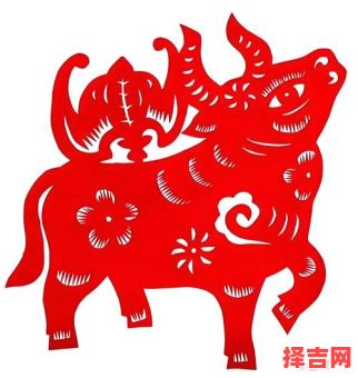 金童玉女猜最佳生肖-第1张图片