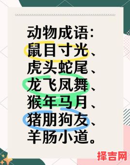 目光短浅指什么动物 目光短浅打一个准确动物-第1张图片