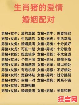 属猪的和哪些属相最配相克-第1张图片