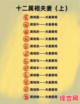 属鼠的与哪个属相最不合和属马的与什么属相最不合-第1张图片