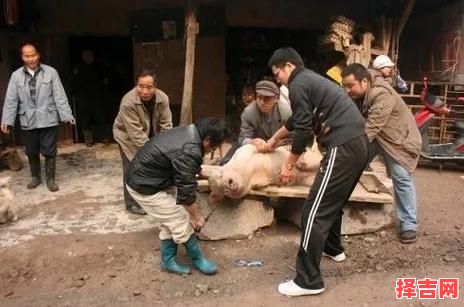 梦见别人杀猪 男性梦见他人杀猪预示什么-第1张图片