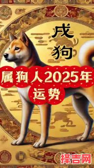 属狗2025年开火最佳吉日与全年开运颜色推荐-第1张图片