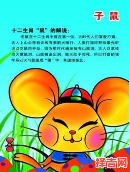 96年属啥-第1张图片