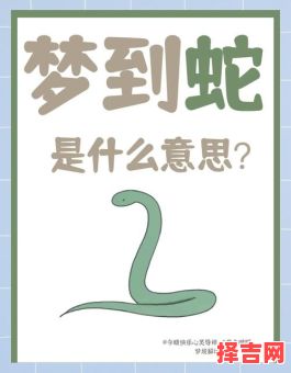 周公解梦男子梦见多条蛇寓意是什么-第1张图片