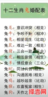 两个属兔婚配老理,两个99年属兔合适吗-第1张图片 两个属兔婚配老理,两个99年属兔合适吗-第1张图片