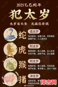 属猴鼠年是否犯太岁属龙鼠年是否犯太岁-第1张图片