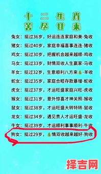 属狗人今年几岁-第1张图片