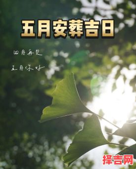 2025年5月下葬吉日 2025年5月下葬吉日吉时-第1张图片 2025年5月下葬吉日 2025年5月下葬吉日吉时-第1张图片