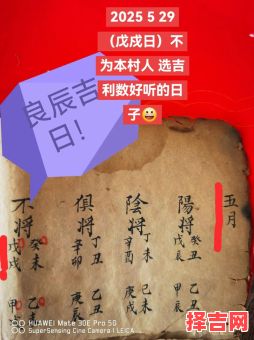 辛巳年和吉月吉日分别何时 2025年辛巳月是哪月-第1张图片