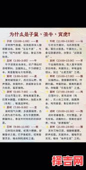 午后时分是甚麽生肖-第1张图片 午后时分是甚麽生肖-第1张图片