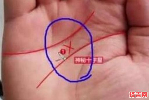 杰出企业家的手相特征解析-第1张图片