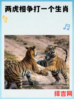 水火无情打一生肖-第1张图片