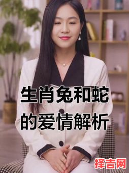 兔与兔属相是否相合，蛇与兔属相是否相合-第1张图片