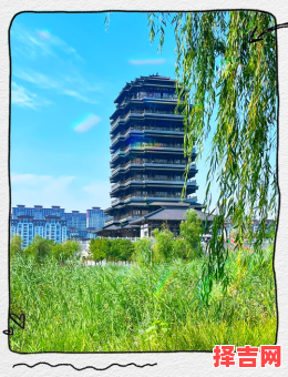 山东淄博为何一夜走红-第1张图片