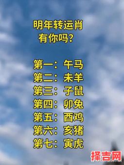 交通工具利好是什么生肖-第1张图片