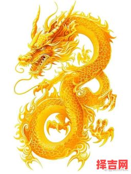 风云指什么生肖 风云含义是什么-第1张图片