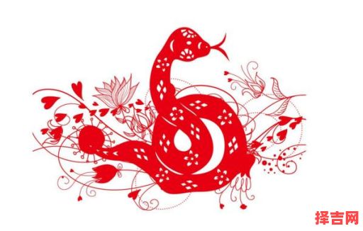 青涩相伴两不知打一生肖-第1张图片