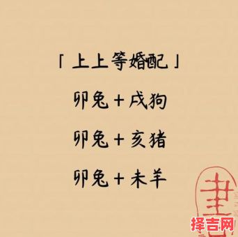 兔与什么属相婚配最佳，兔和鼠相配婚姻怎样-第1张图片