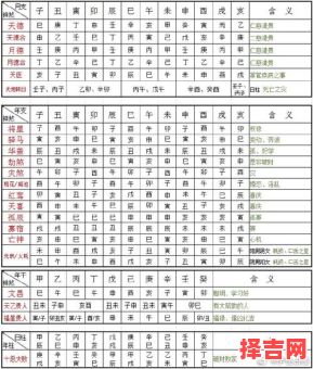 大运合月柱偏财，大运天干和八字合化-第1张图片