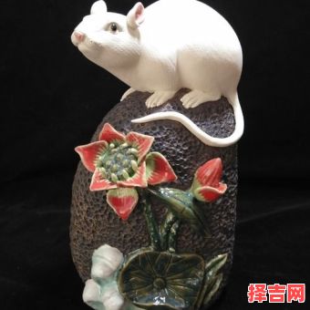 高瞻远瞩所指的三大生肖-第1张图片 高瞻远瞩所指的三大生肖-第1张图片