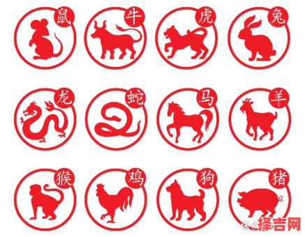 力争上游指什么生肖-第1张图片