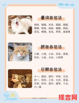 爱宠猫咪的昵称-第1张图片