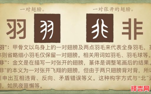 羽字起名寓意如何泊字取名寓意如何-第1张图片