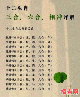 三合婚与普通婚比较哪种更好，三合婚姻能证明什么-第1张图片