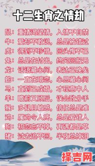 假情假意指什么生肖 假情假意指一准确生肖动物-第1张图片