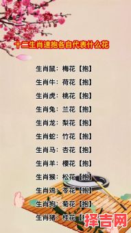 风韵犹存指什么生肖-第1张图片