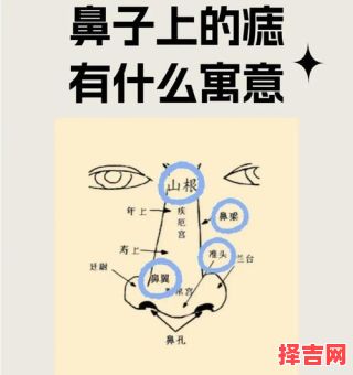 恋爱运势图解全解，鼻子运势图解-第1张图片