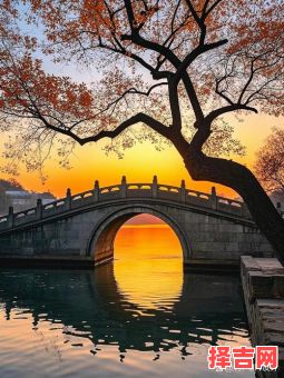 梦中独自过桥 女子顺利过桥成功-第1张图片