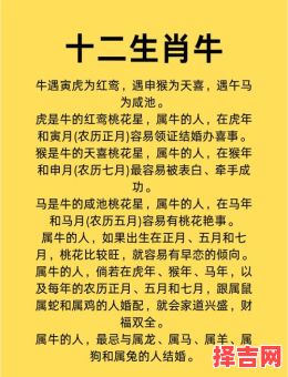 1997年属牛女性何时动婚-第1张图片