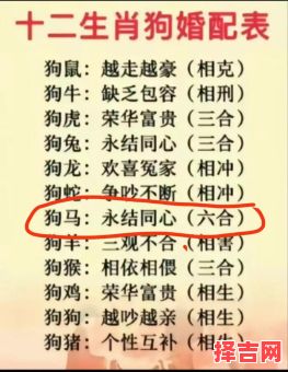 属马与属狗的婚姻怎么样属狗与马相配婚姻如何-第1张图片