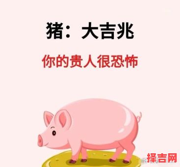 属猪男生动心信号 属猪男对你有好感的表现-第1张图片