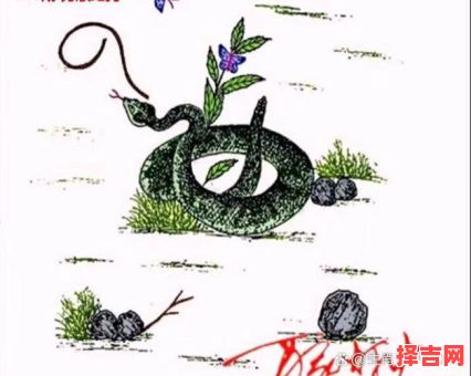 孜孜学子猜一生肖-第1张图片