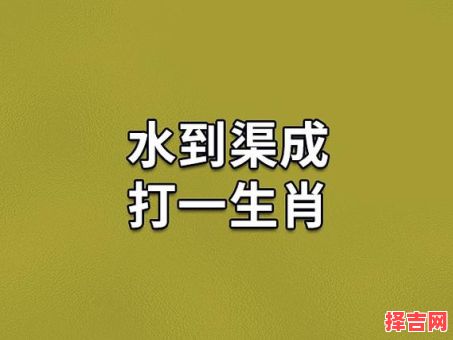 花落谁家打一生肖-第1张图片