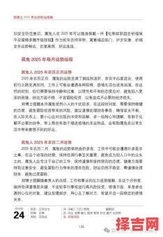 属兔人2025年运势及九月运程-第1张图片