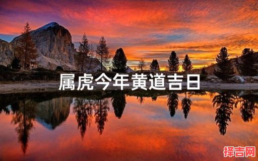 属虎2025年挂牌黄道吉日查询 属虎2025年挂牌最佳日期推荐-第1张图片