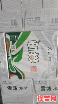 雪的密度是多少 冰的密度是零点九还是零点八-第1张图片