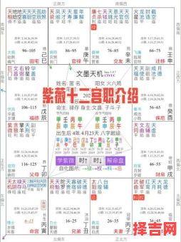 紫微化权财帛宫解析与紫微斗数特殊命格-第1张图片