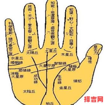 女左手手相比右手佳，女手相卅五后观左手-第1张图片