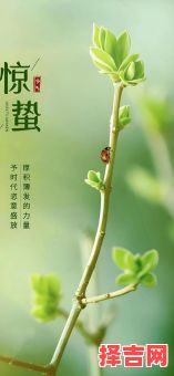 2025年惊蛰是吉日吗5月5号几时惊蛰-第1张图片