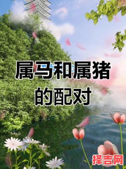 男属猪女属马相配吗男属马女属猪婚姻如何-第1张图片